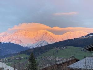 Appartements Les Chevreuils : photos des chambres