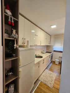 Vila Darija_apartman 8_Radović
