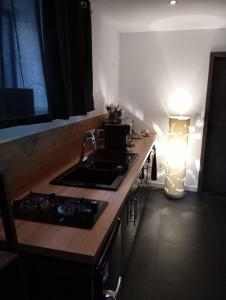 Appartements Balneo SPA Allevard : photos des chambres