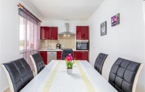 Amazing Home In Valbandon With Wifi 