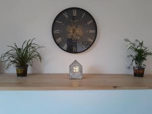 Appartements The nest : photos des chambres