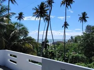 Banyan Scape Villa - Delkada
