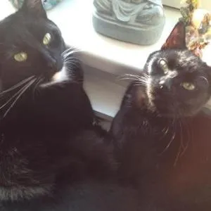 Kerstins Bed and Breakfast - إغموند آن دن هوف