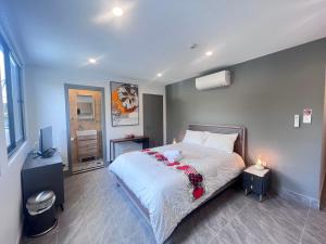 Brand New Furnished Studios