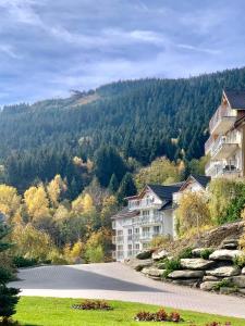 Najładniejszy Apartament w Czarna Góra Resort - Livigno - Sienna