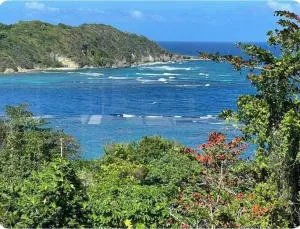 The Dream St Mary - Buff Bay