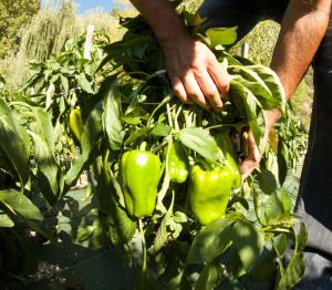 Hotels Hotel Restaurant du Parc en Bord de Riviere : photos des chambres