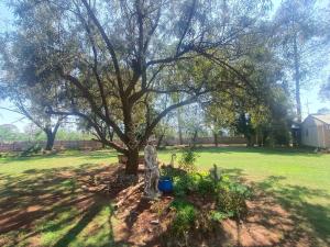 Yellowstone Guest House