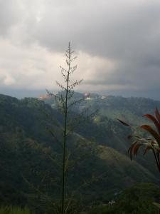 Baguio Brentwood Villas