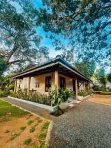 11 11 Weligama - Akuressa