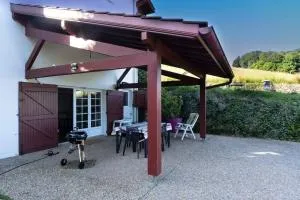 Bel appartement avec terrasse jardin vue montagne - 阿伊诺阿