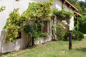 Maisons de vacances Bienvenue Chez Nous : photos des chambres