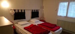 Appartements Gites les Coquelicots d-Alsace : photos des chambres