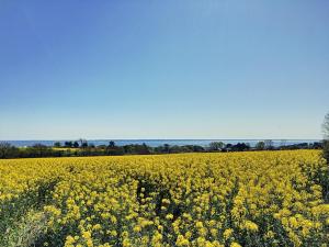 Maisons de vacances Penty Kersiguenou a Crozon - Vue mer : photos des chambres