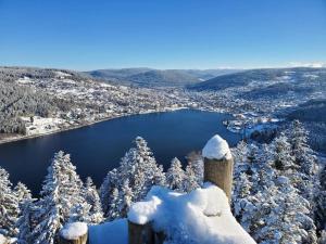 Appartements Chez Paulette, Studio cosy au centre ville de Gerardmer : photos des chambres