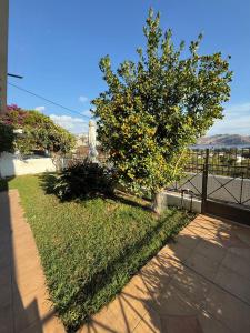 Sea View Serenity in Athens