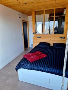 Appartements Sommet Centenaire Hyper-centre : photos des chambres