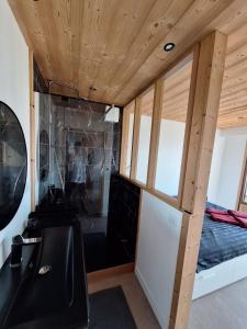 Appartements Sommet Centenaire Hyper-centre : photos des chambres
