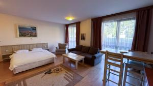 студио Пирин