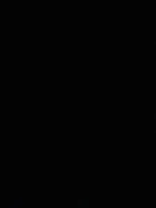 Está casa não está alugando!! - Oliveira