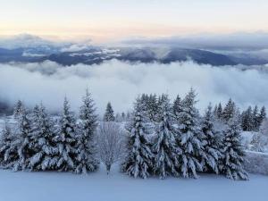 Studio Duplex 8 personnes Vue à couper le souffle