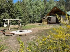 Zacisze leśne w Juliance - 奥斯特罗文卡