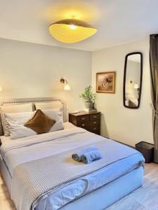 Appartements Pezenas Centre Historique - plages a 20 mn : photos des chambres