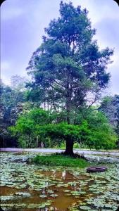 Studio 4 The Studios at Churchill