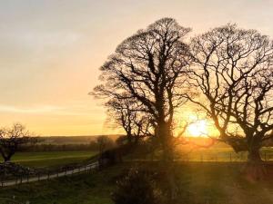 Lapwing Cottage - E5028