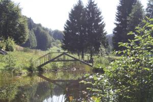 Chalets Chalet pres de Gerardmer zone Natura 2000 : photos des chambres