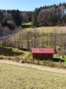 Chalets Chalet pres de Gerardmer zone Natura 2000 : photos des chambres