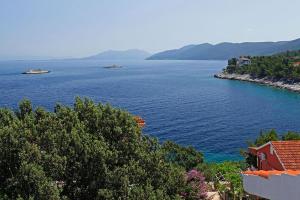 Villa Prigradica Paradise