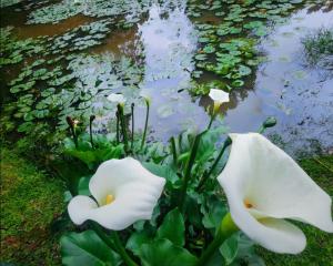 Studio 4 The Studios at Churchill