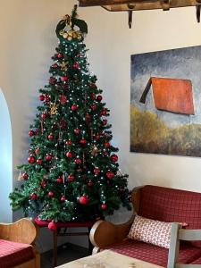 Domaine La Cour Des Nobles - Demeure, Maison et Appartements au coeur de Riquewihr : photos des chambres