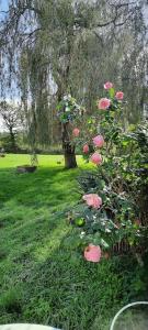 Gîte La Petite Roche