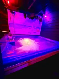 Cozy cottage with jacuzzi & private garden near Amsterdam - Vijfhuizen