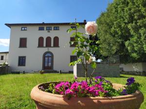 Total Tuscany Countryside Villa