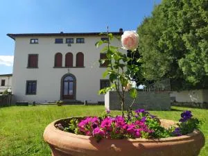 Total Tuscany Countryside - Levane