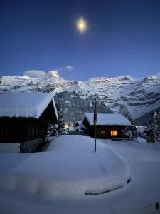 Appartement cosy dans chalet typique Région Diablerets Glacier 3000 - Les Diablerets