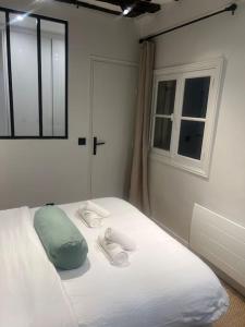 Appartements Magnifique appartement Le Marais Paris : photos des chambres