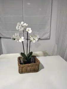 Alojamiento las Dunas alto - Los Yesos