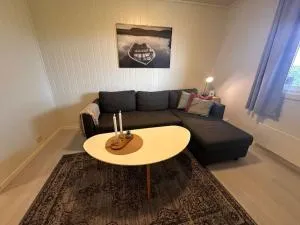 Studioleilighet sentralt i Alta med eget soverom - Kåfjord