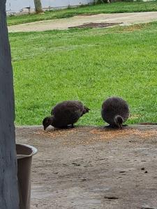 H & E Sunset Paradise