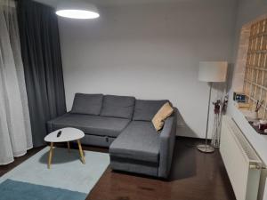 Mountain Nest Sinaia