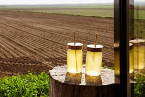 Slapen op de Dijk - Tiny House