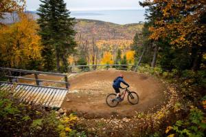 Le Boréal - 4CH avec Spa, Wi-Fi et Foyer