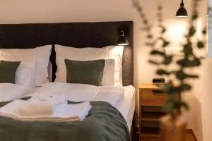 dreamcation Altstadthotel Regensburg, Mikro Apartments mit Küche - Zeitlarn
