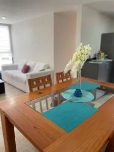 Departamento cerca Aeropuerto, Foro GNP, Autódromo - Evolución