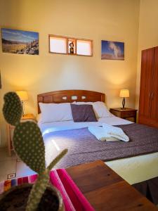 Hostal y Cabañas Renta House San Pedro