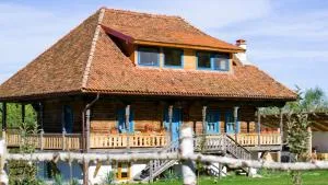 La poale de munte - Viştea de Sus